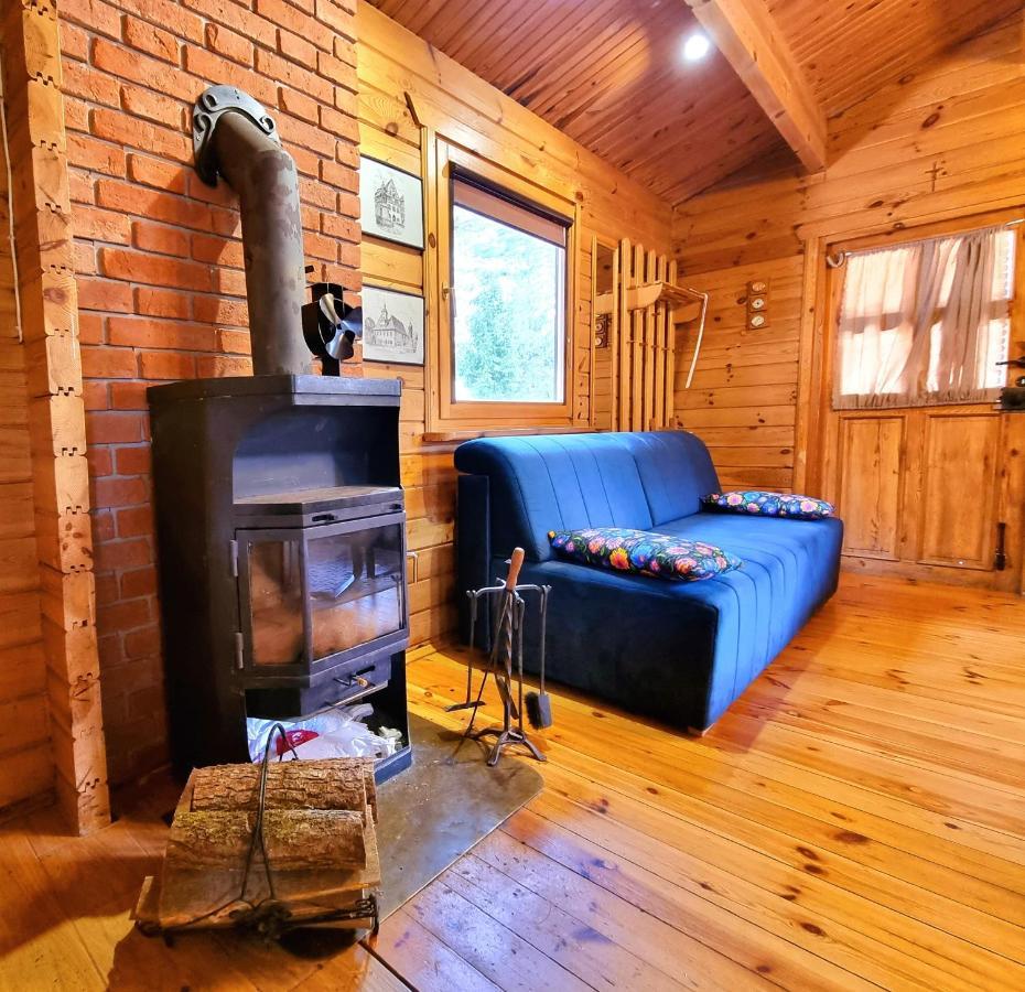 Villa Lesna Ostoja Poddąbie Extérieur photo